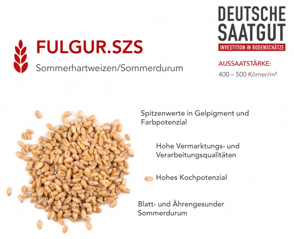 SOMMERDURUM FULGUR.SZS