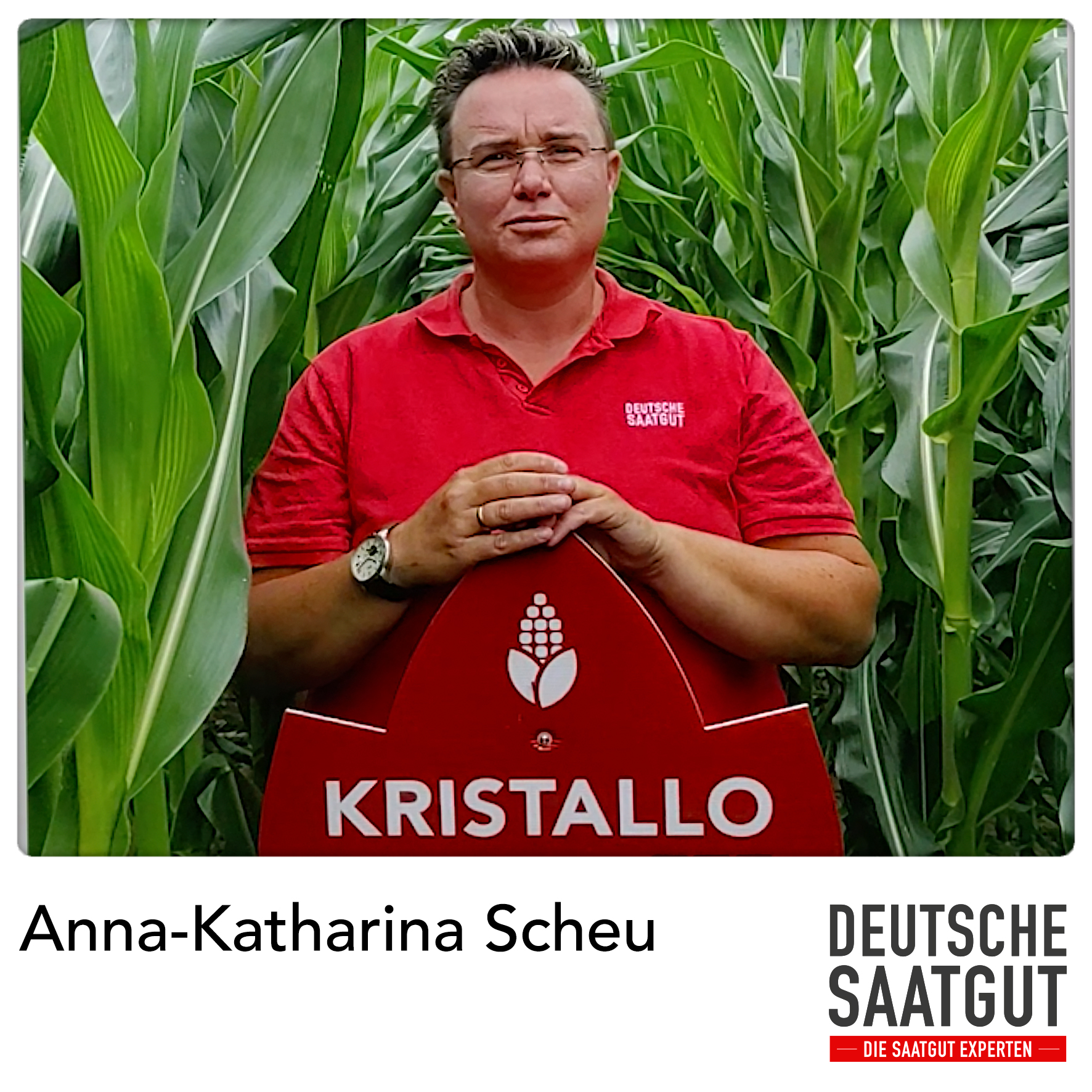 Anna-Katharina Scheu – Sortendemo Mais, Maisbestand Bad Arolsen, Landkreis Waldeck-Frankenberg