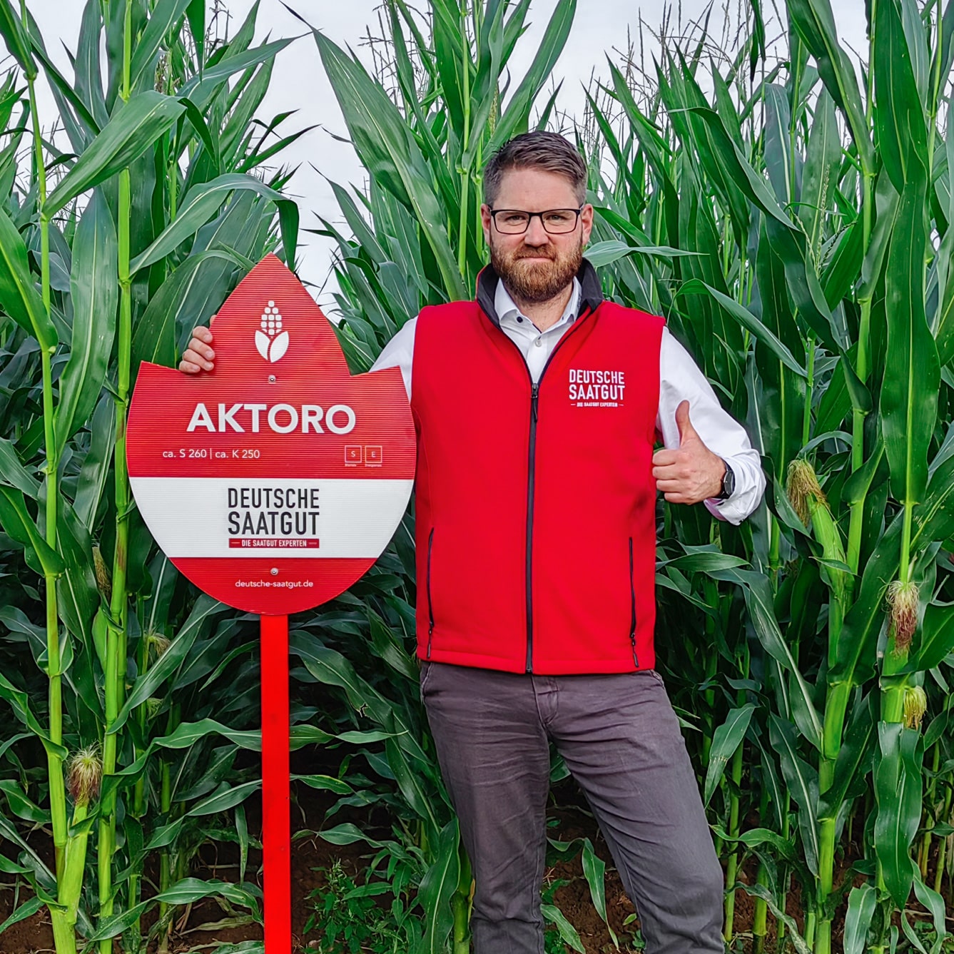 AKTORO – Die neuste Maishybride im mittelspäten Reifebereich für Silo- und Biogasertrag!