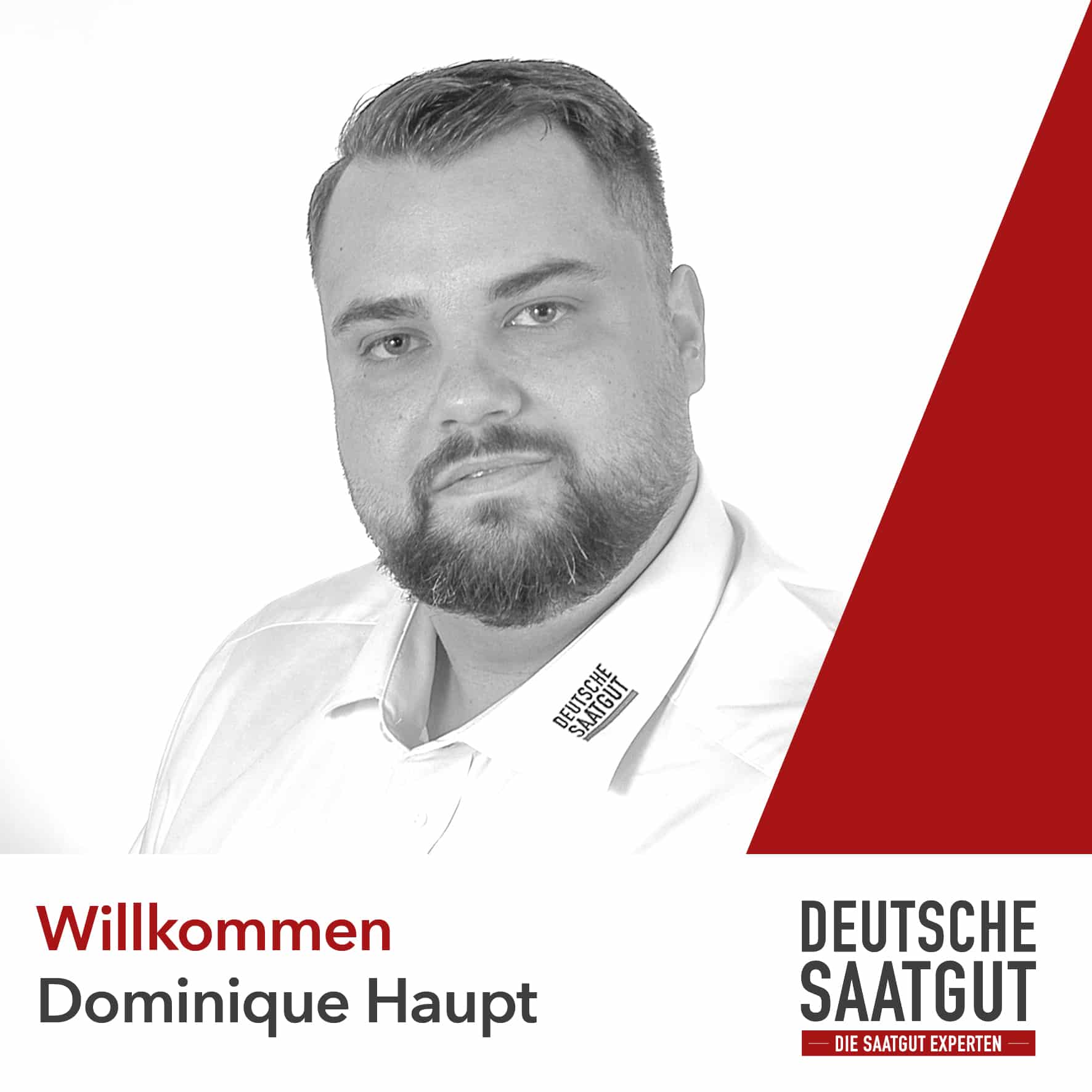 Dominique Haupt – Kundenbetreuer Niedersachsen