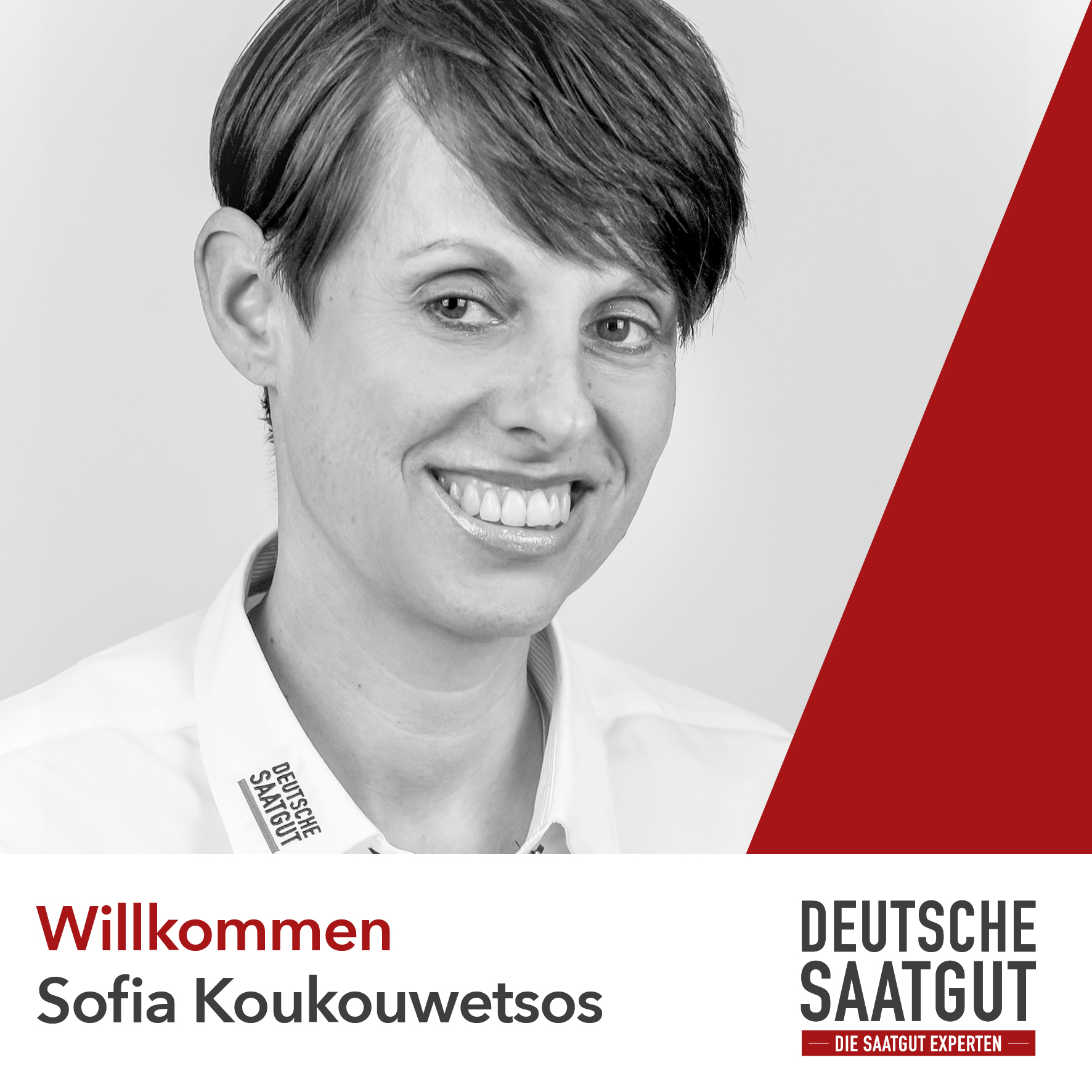 Sofia Koukouwetsos – Sales Support