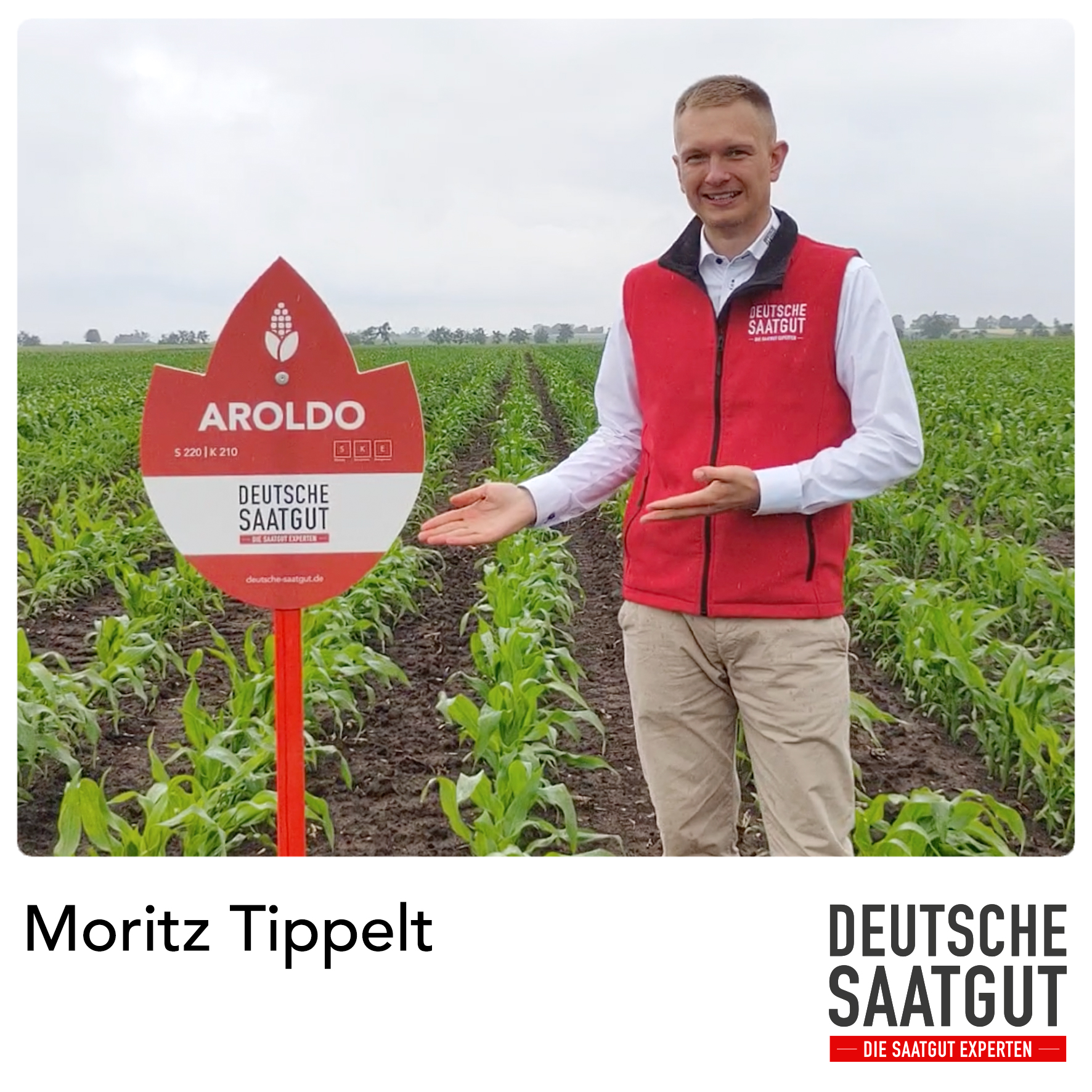 Moritz Tippelt – Sortenvorstellung AROLDO
