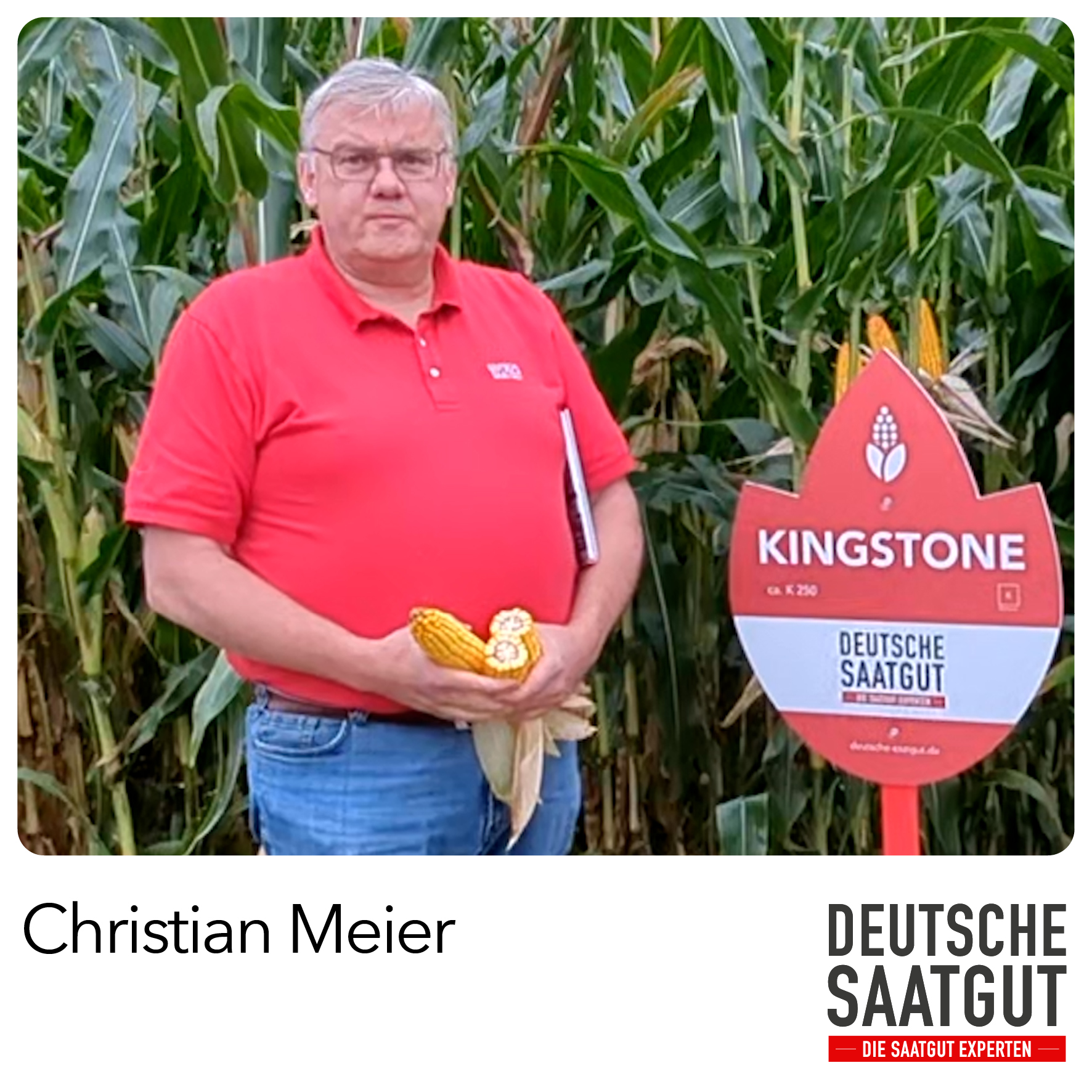 Christian Meier – Sortenvorstellung KINGSTONE