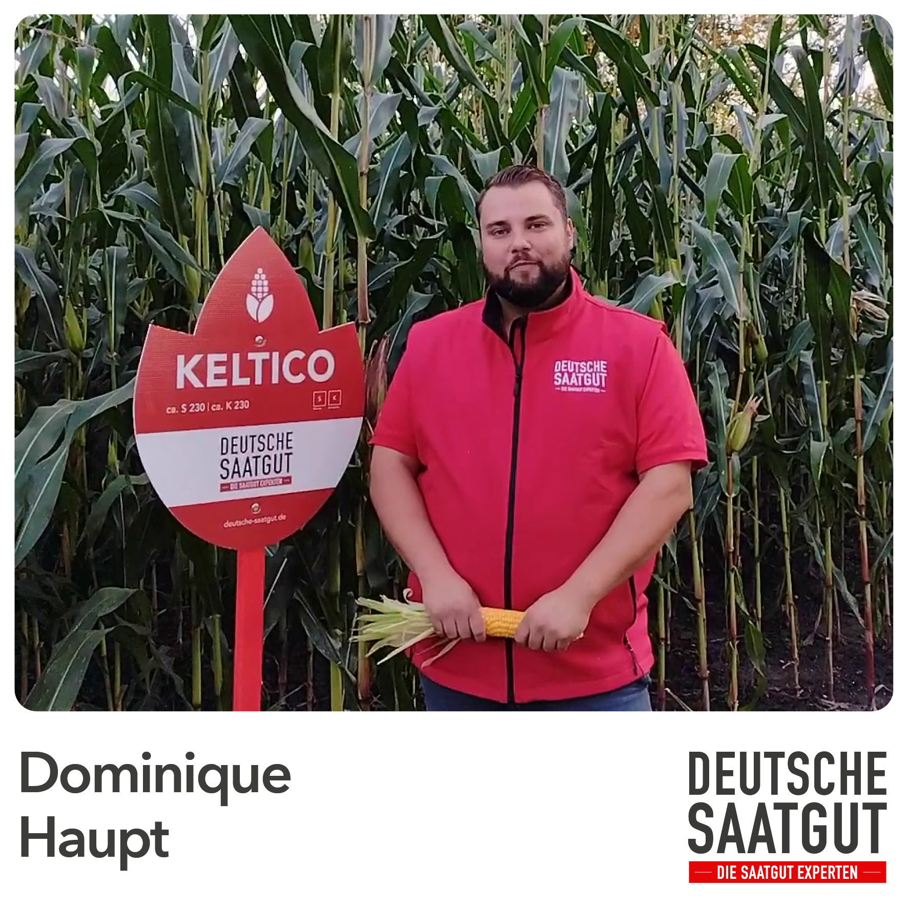 Dominique Haupt – Sortenvorstellung KELTICO