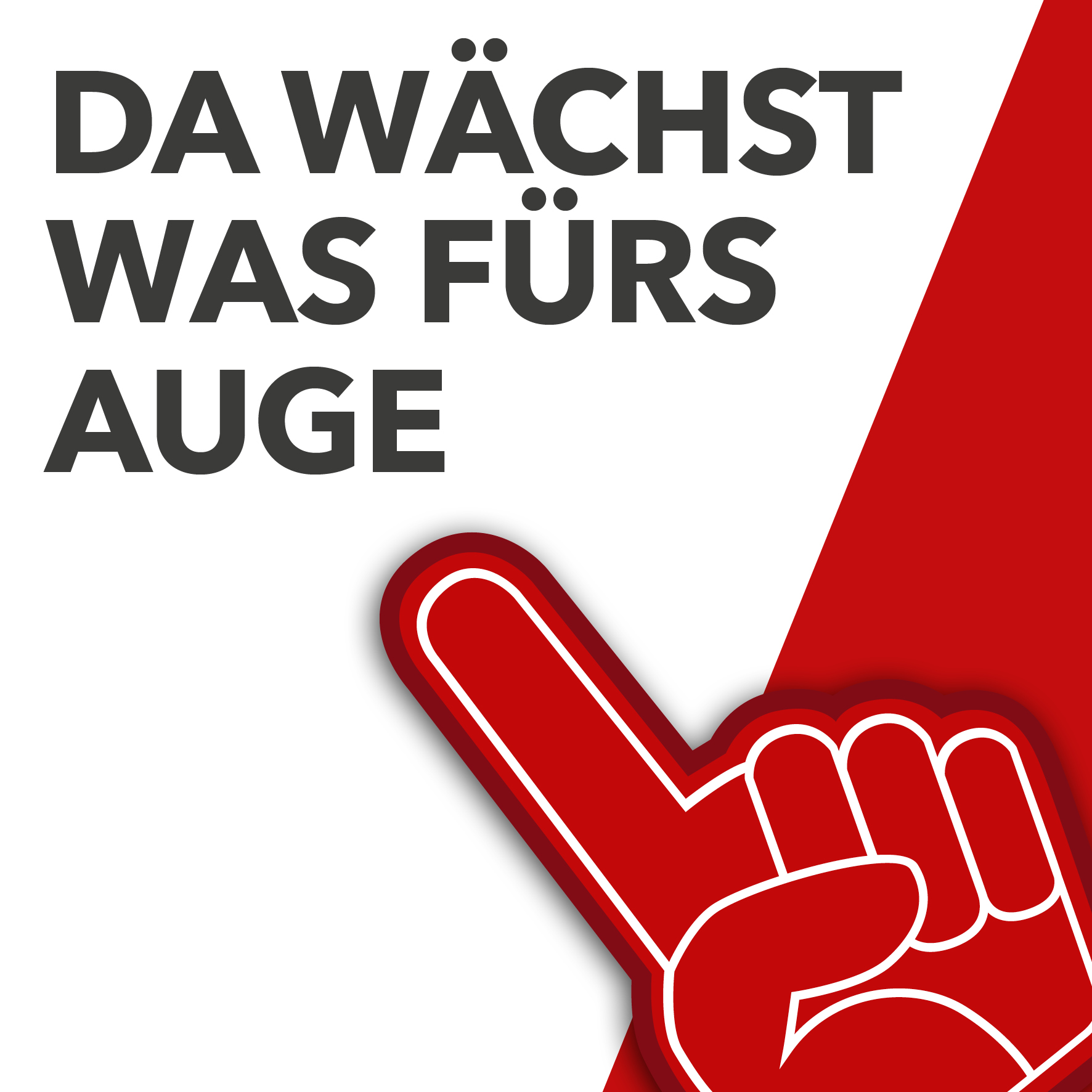 Da wächst was fürs Auge – unsere Highlights der Öko-Feldtage