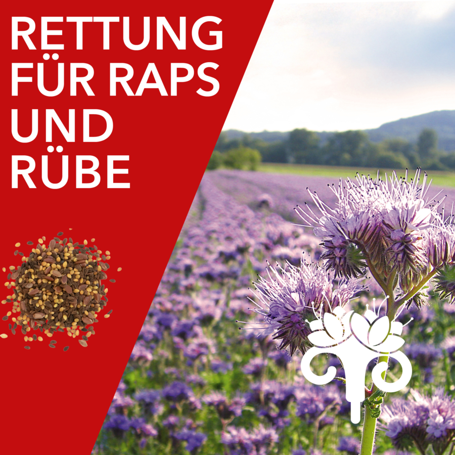 Rettung für Raps und Rübe