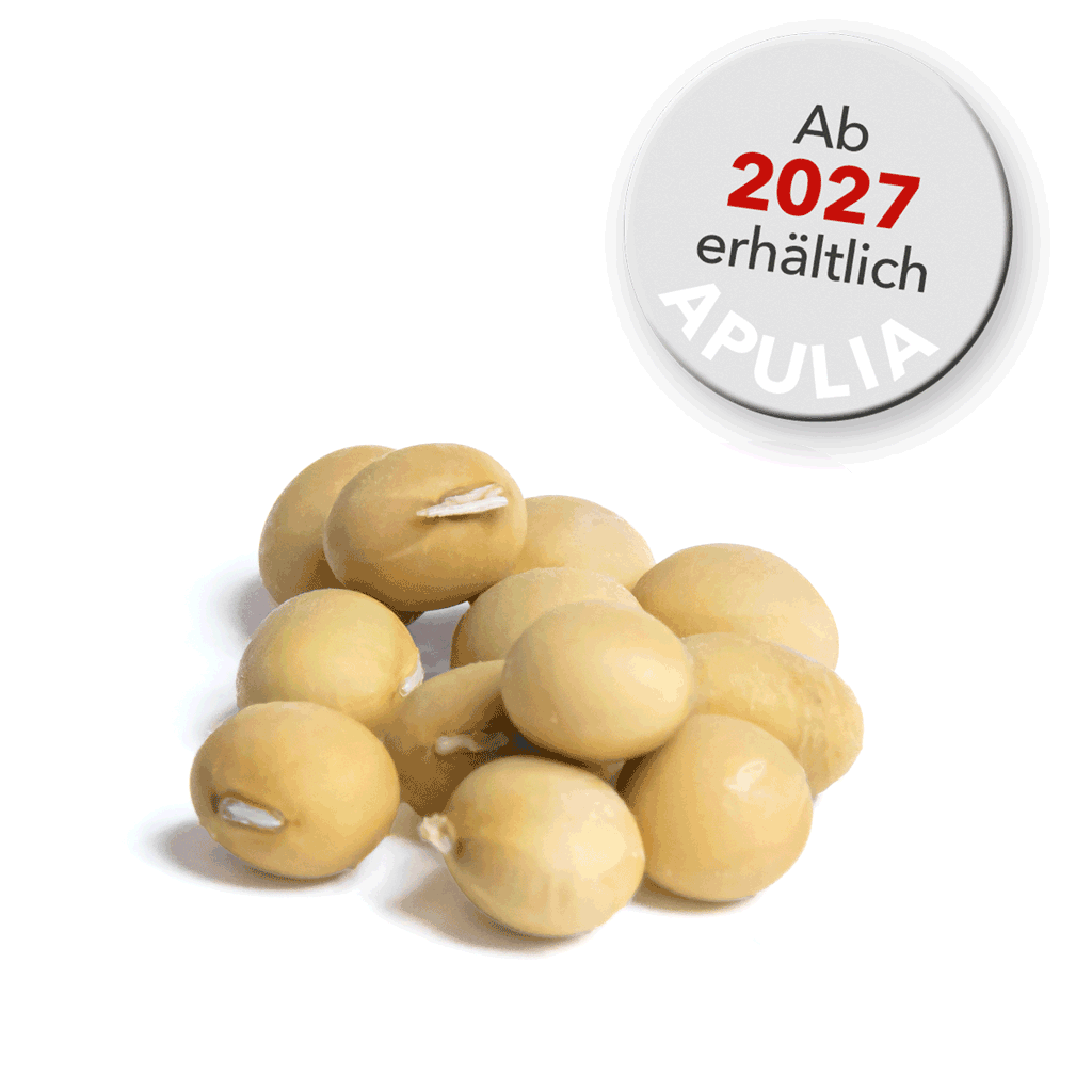 APULIA Sojabohne 0000