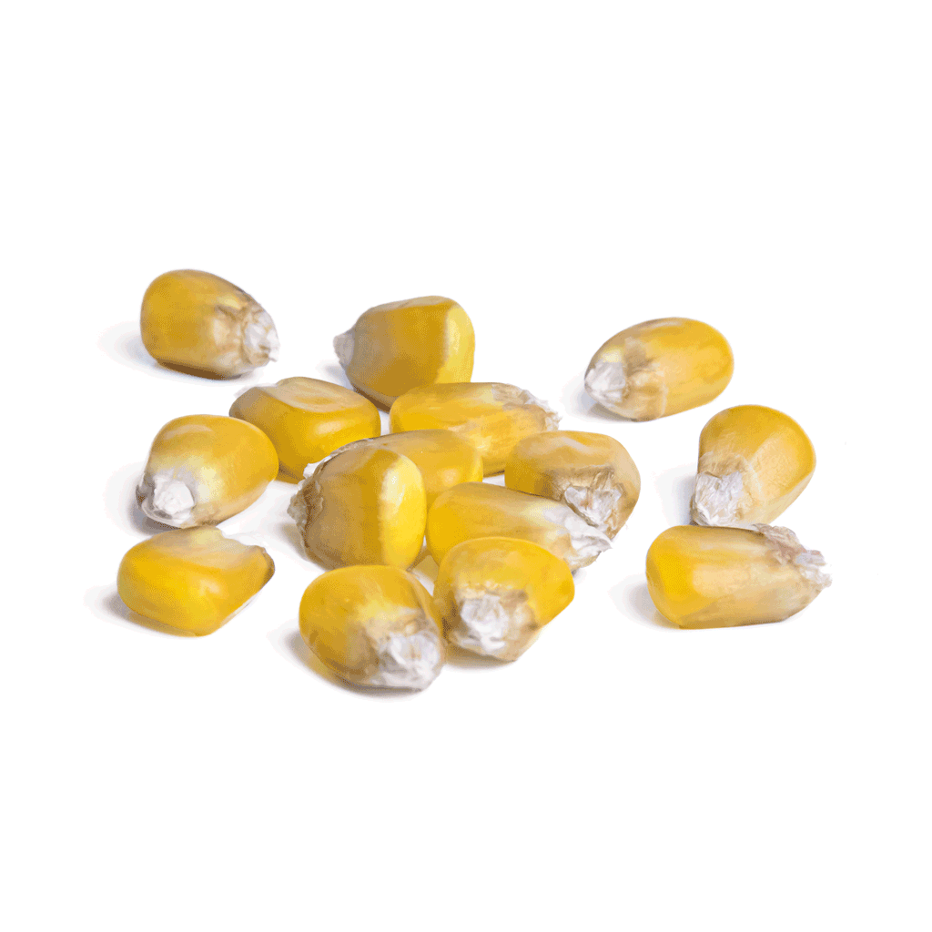 Agro King