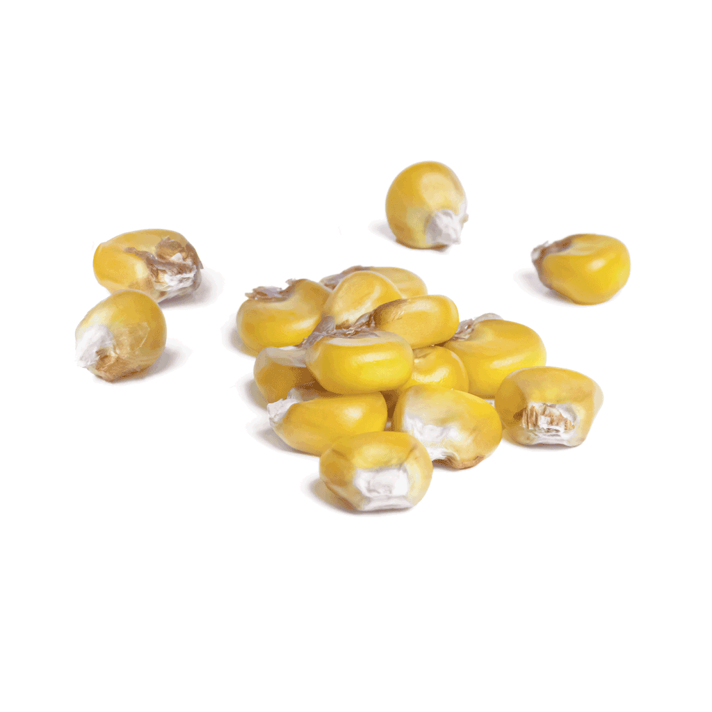 KASPIKO