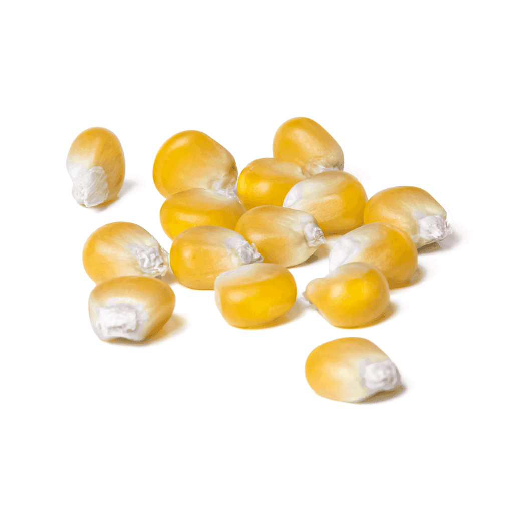 KELTICO