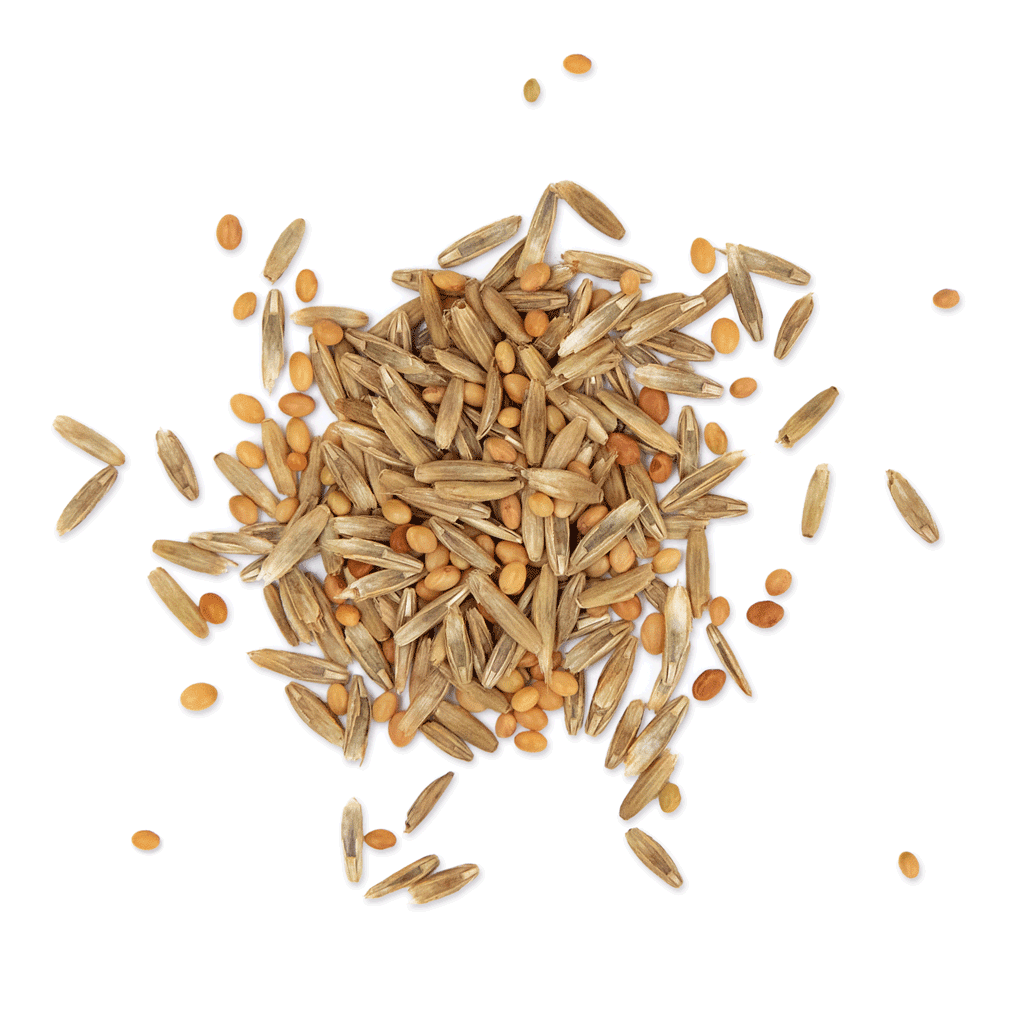 DEUTSCHE SAATGUT 6.1 Proteinreiche Futtermischung
