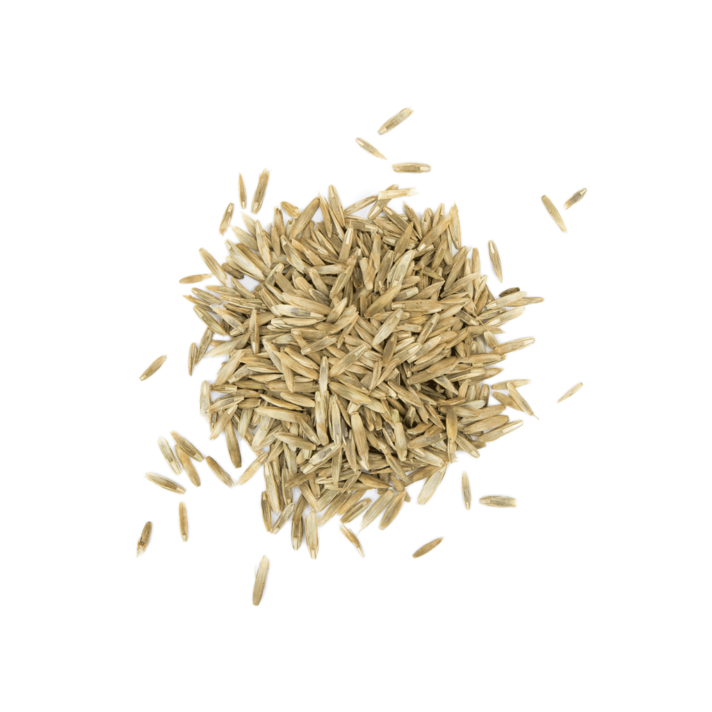 NACHSAAT