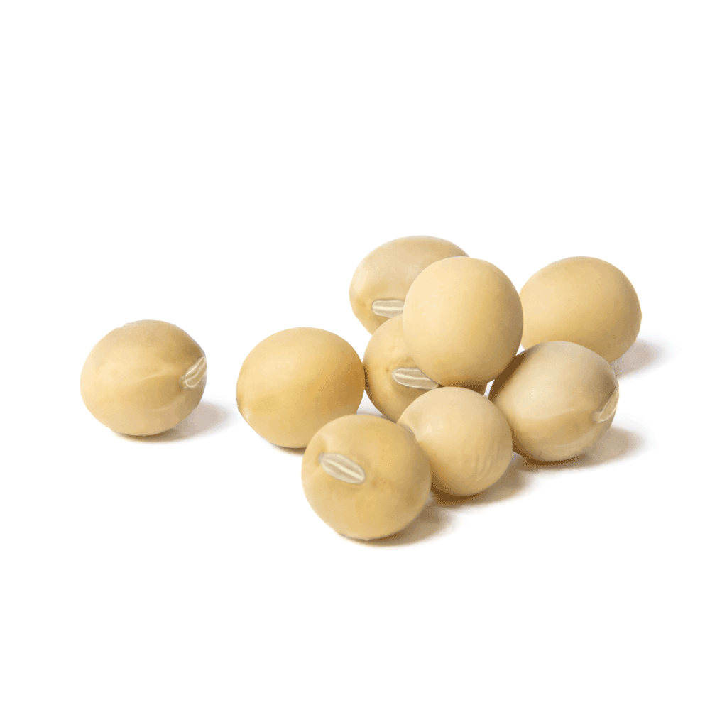 TODEKA Sojabohne 000