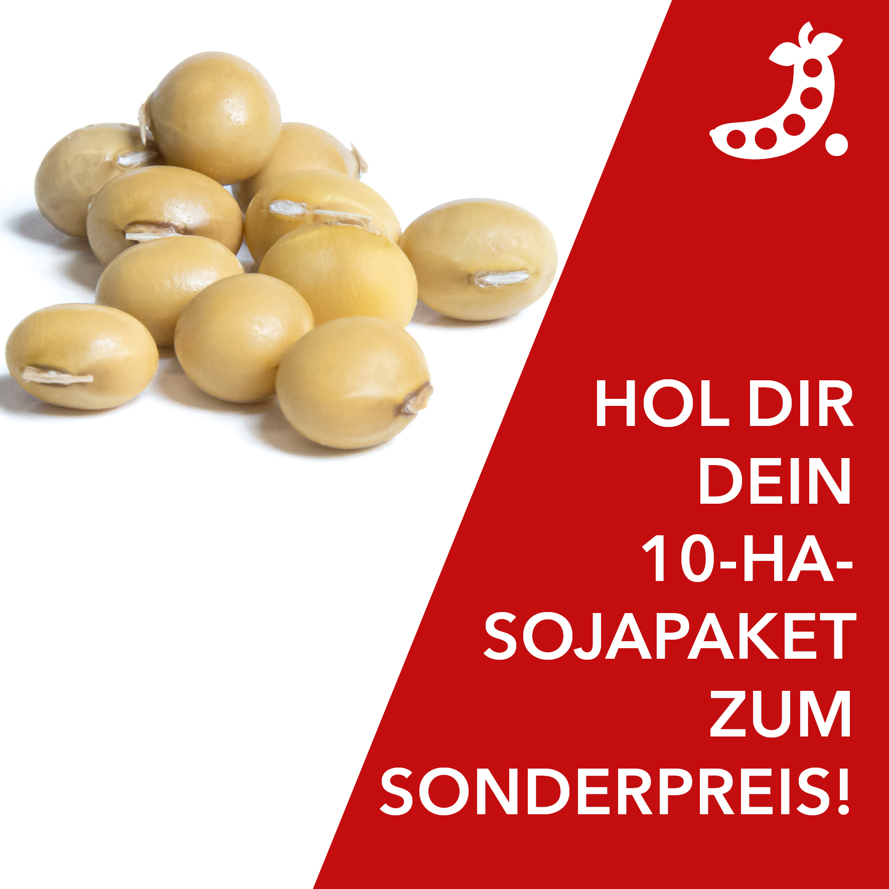 APOLLINA ist die größte Soja-Sorte Deutschlands*