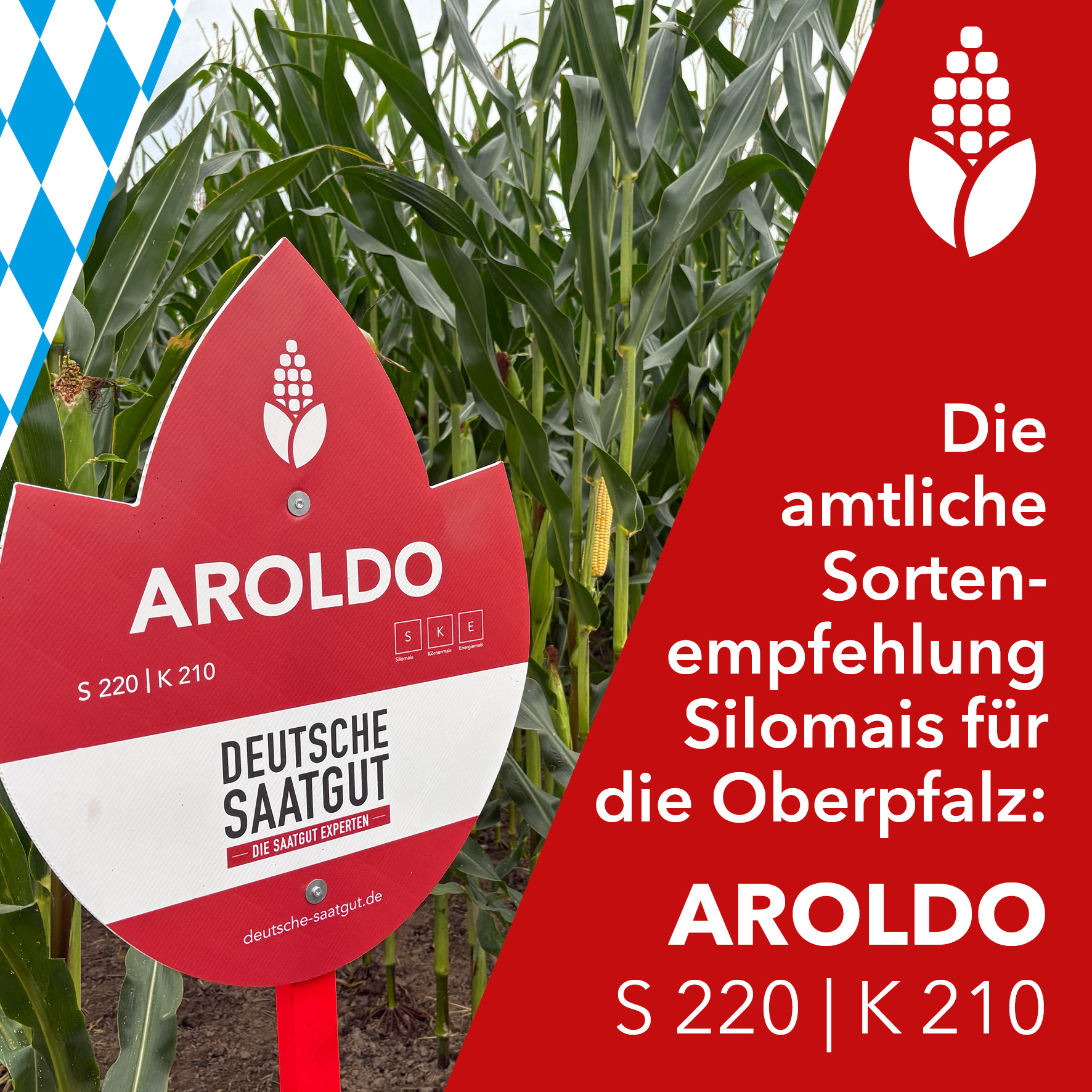 Sortenempfehlung AROLDO S 220 | K 210 für die Oberpfalz