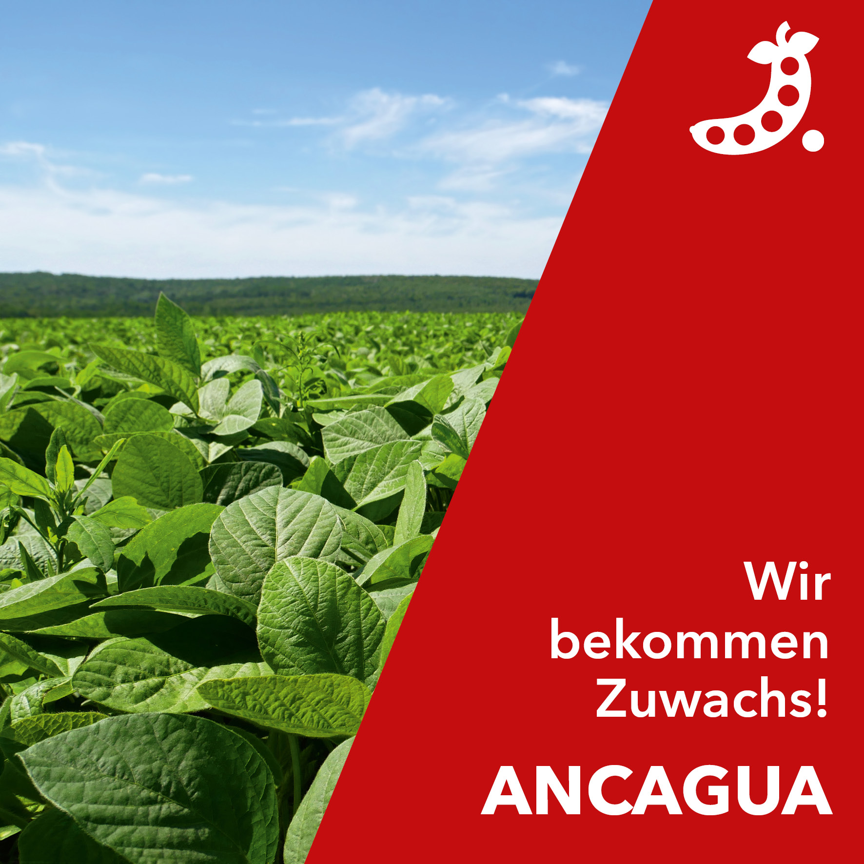 Wir bekommen Zuwachs!