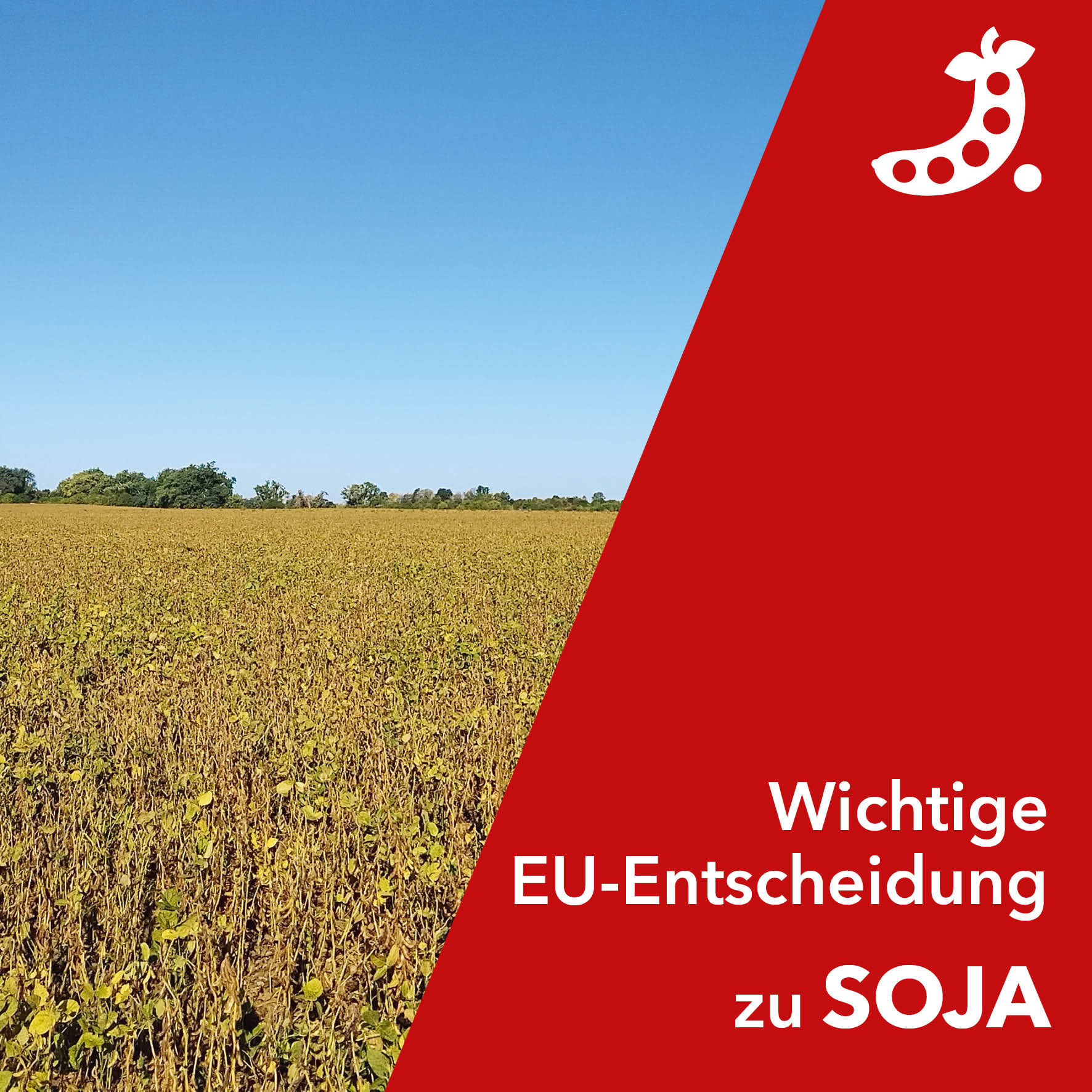 Ein starkes Signal für den heimischen Soja-Anbau